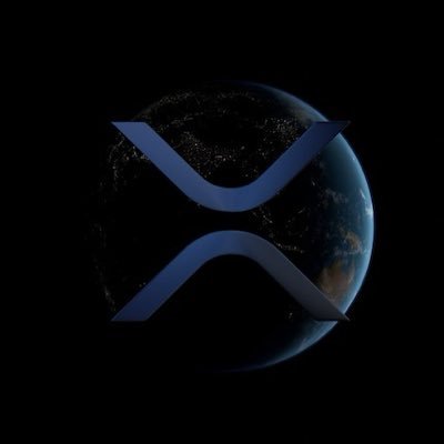 XRPLWashington's profile picture. been a crypto enthusiasts for a little while now