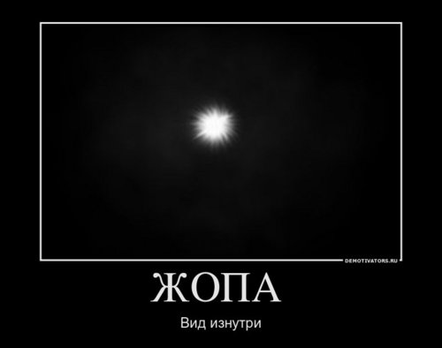 kalmik7's profile picture. староват