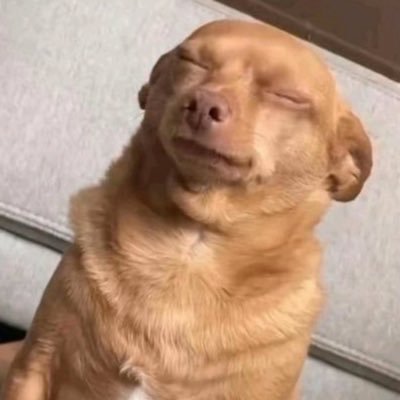 SoR0b's profile picture. Sports. Humor, anything really just ask... 🤷🏻 UGA FAN, LA Rams FAN since the STL days 99’!