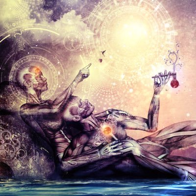 shrekt25's profile picture. 