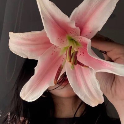 sh_965x's profile picture. Everything , in time