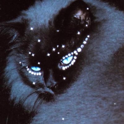 gabysantana081's profile picture. nesse perfil adoramos ao Corinthians 🛐