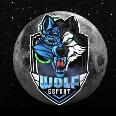 @Wolfs5eSports