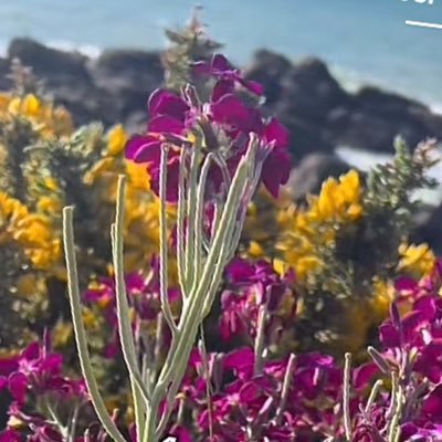 adama_barmou's profile picture. 