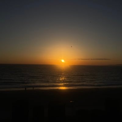 Notagaslighterr's profile picture. scared to follow.