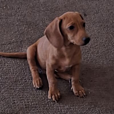 konAmloSi's profile picture. chaira por convicción

N🚫 DM 🙏