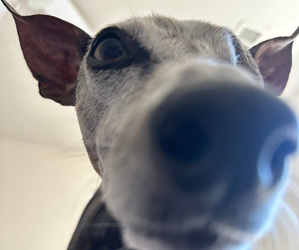 AJUSMC1775's profile picture. 