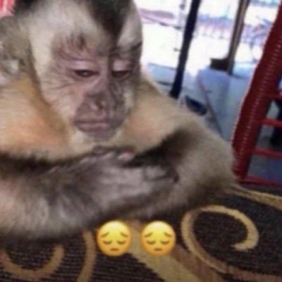 adedestaque's profile picture. bruxa fotógrafa & cartomante