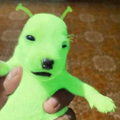 Sumanbiche's profile picture. Hola soy un aspirante a artista que le gustaria conseguir chamba y mejorar en el arte :)