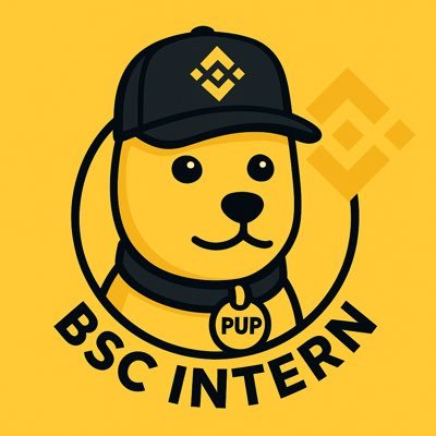 PUPBSC's profile picture. PUP is not only bnb upside down, but also a BSC On-chain Analyst Intern.