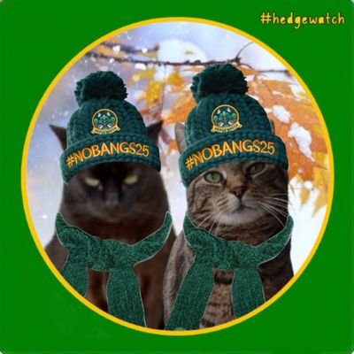 tiggy_deni35304's profile picture. Tiggy (f) gotcha day 4/11/8 
Zeus (m) gotcha day 14/11/24
Former ferals, we have the same birthday January 1st. Love the outdoors & proud members of #Hedgewatch