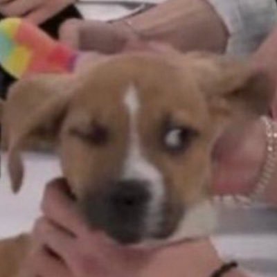 GestaLucas's profile picture. este perfil virou só vôlei e novelas do manoel carlos