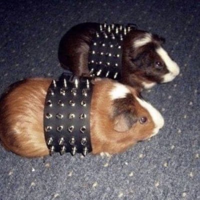 po3po3e's profile picture. 너만 죽고 싶어? 여기 살고 싶은 사람 아무도 없어