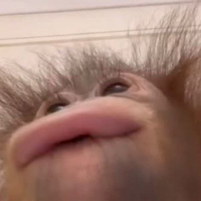 realEmiliaGreco's profile picture. ݁₊ . ⊹ secretly superstraight . ݁ . ₊