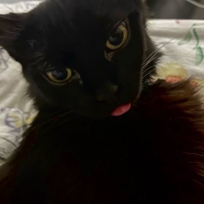 marinatubarao's profile picture. hot and dangerous