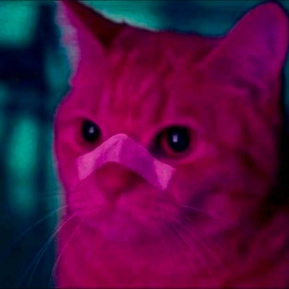 Voyvice's profile picture. رجال 
مياوو