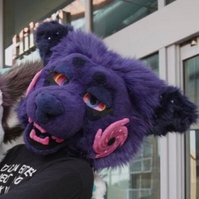 14pup_'s profile picture. 24 ⭑ she/her ⭑ commissions open! ⭑ i make fursuits @chronicallyk9 ⭑ dms business only ⭑ @LabradorBandit ♡