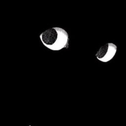 Professor_H_'s profile picture. 