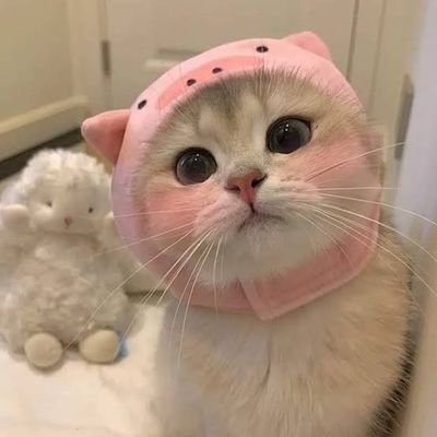 namelessbeing7's profile picture. 