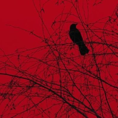 yrfavfatherr's profile picture. 24 // ⚠️taboo kinks⚠️ // NSFW MDNI 18+ // rack + ssc // all concepts are fantasy & written about consenting adults //  main: @yrfavfather