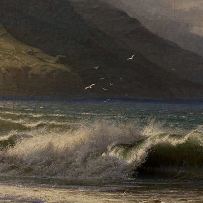 dnalsabih's profile picture. @KSU_SWE ⌨️📖🌱