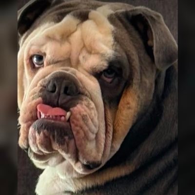 RoseJackso55373's profile picture. 