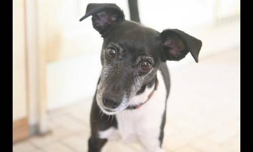 PatrickMeeus's profile picture. ICT Service design - Photography - Bike