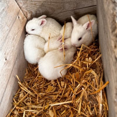 buba_carr2000's profile picture. 