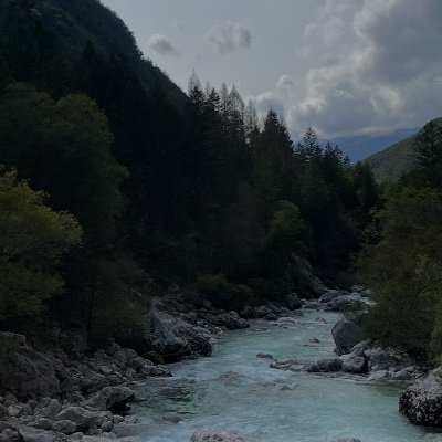 catltk's profile picture. 