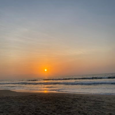 Mole1797741's profile picture. 