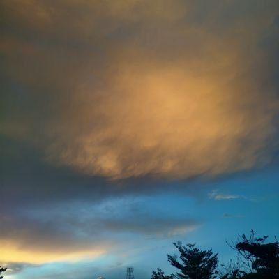 affiiuuu's profile picture. ✨affailable open order gyoza dimsum✨