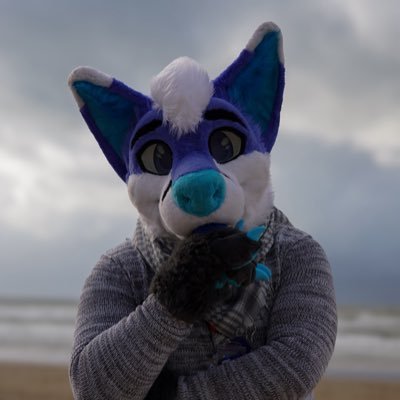 aisonfusky's profile picture. 22 | 🇬🇧 🇩🇪 🇵🇱 | 𝕲𝖆𝖓𝖌𝖘𝖙𝖆 guy doing furry stuff and some memeing / shitposting. Find me at: NFC, EF…