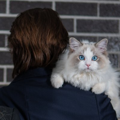 JimmyFuturemanX's profile picture. Alright at product, software and marketing https://t.co/rRIoTRp0et, https://t.co/xjcUO3zjmz