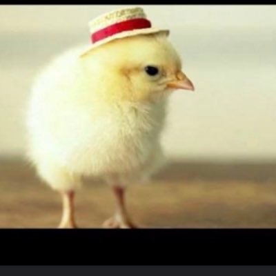 D111238485's profile picture. Keeping friends and making people smile