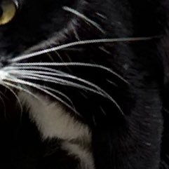 yoiayoia's profile picture. 20↑ 無言フォロー失礼します🙇🙇‍♀️🙇‍♂️