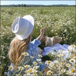 ietwixkar36867's profile picture. 