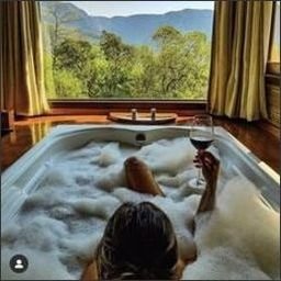 Pihart581's profile picture. 