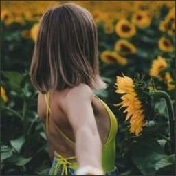 Walawir210733's profile picture. 