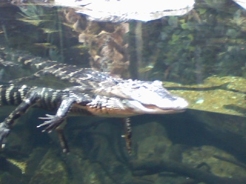 mycamerashots1's profile picture. 