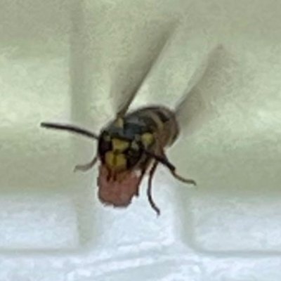 xtsKh3dg84YvUn1's profile picture. 즷빙입니다.
팔로좀요