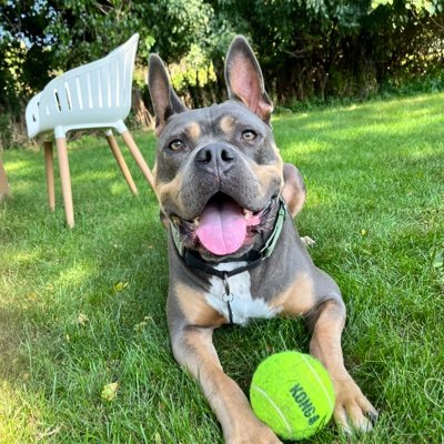 njh2005's profile picture. Husband, dad, grandpa, & old broken soldier