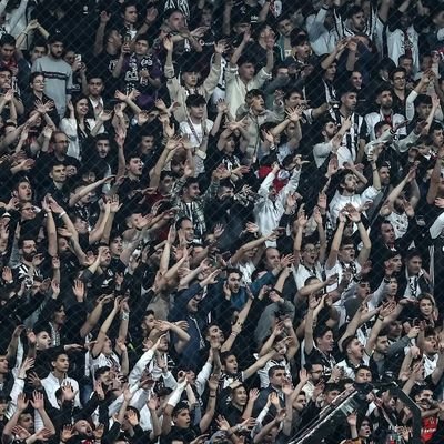 S67018886Sengul's profile picture. 