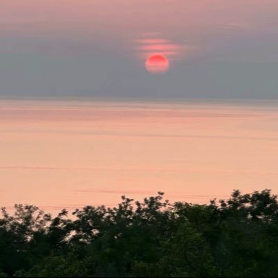 weifeng788's profile picture. 