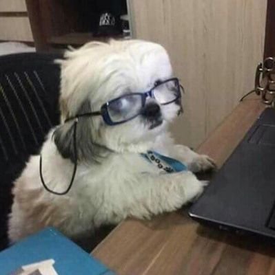 chemicallzy7's profile picture. Dear you my problem