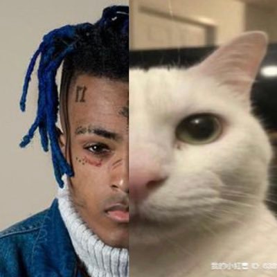 BallsGay15's profile picture. 