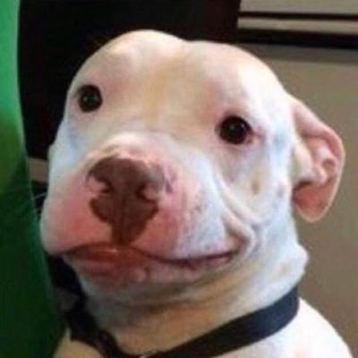 tonyy1150311's profile picture. 