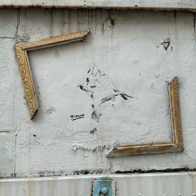 nekoyamatamaki's profile picture. パンダ派