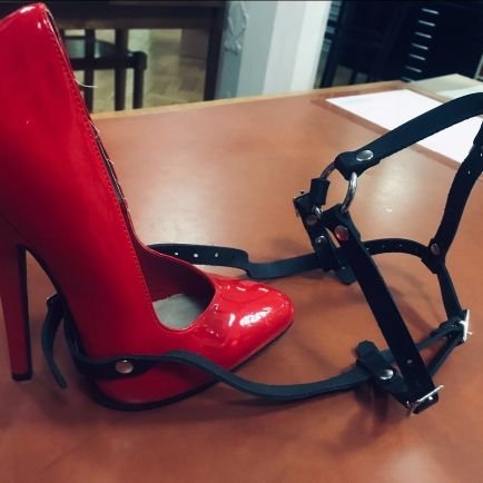 Disciplinegodes's profile picture. Hi Everyone. I will really like to meet a great sub honest faithful loyal open minded caring straight forward trusted committed communicated give able received