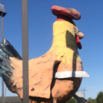 wholearm619's profile picture. 