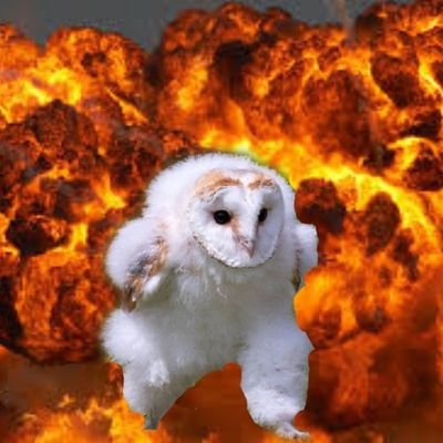 AB00DkS's profile picture. 